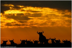 Africa