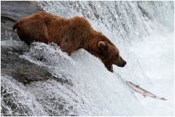 Alaska